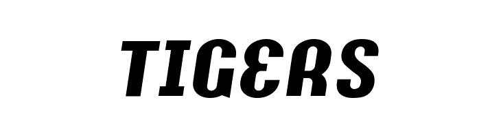 Y2K Analog Legacy Italic  Free Fonts Download