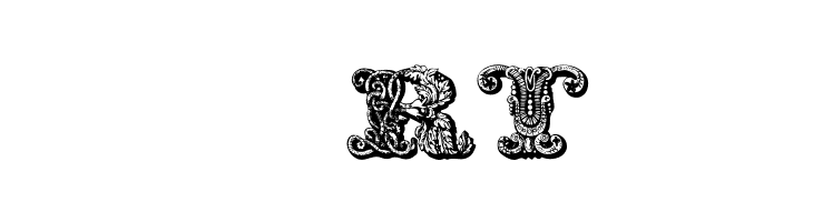 exotica Medium  Free Fonts Download