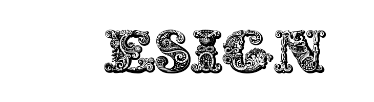 exotica Medium  Free Fonts Download