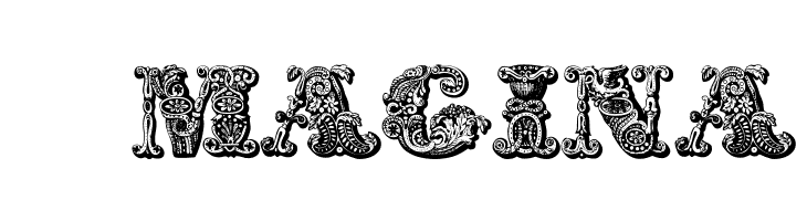 exotica Medium  Free Fonts Download