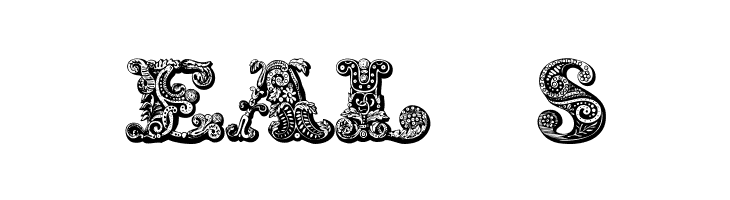 exotica Medium  Free Fonts Download