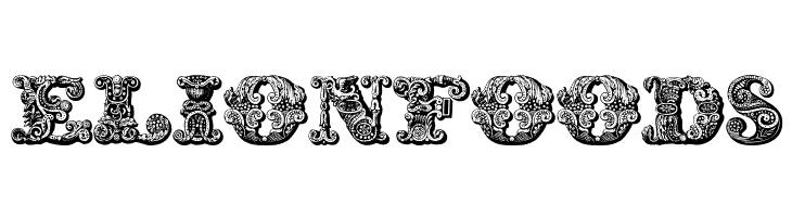 exotica Medium  Free Fonts Download
