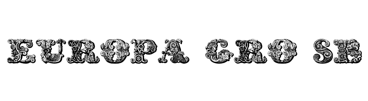 exotica Medium  Free Fonts Download