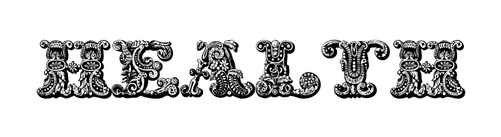 exotica Medium  Free Fonts Download