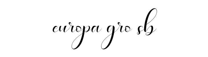 HaleighScript  Free Fonts Download