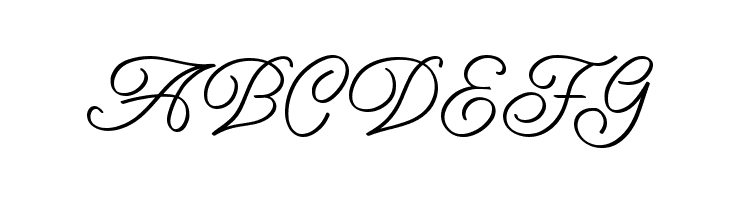 Amarillo regular script  Free Fonts Download