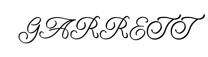 Amarillo regular script  Free Fonts Download