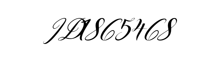 Designest  Free Fonts Download