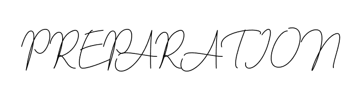 berlinsignature  Free Fonts Download