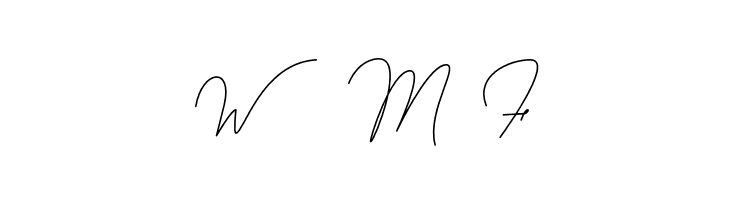 berlinsignature  Free Fonts Download