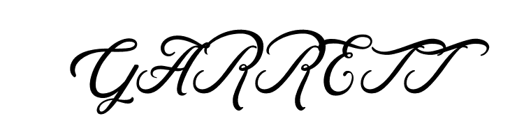 Rosewell Script Demo  Free Fonts Download
