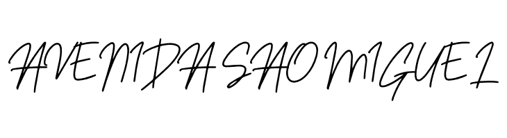 Sansitype Script  Free Fonts Download