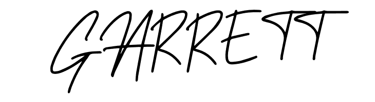 Sansitype Script  Free Fonts Download