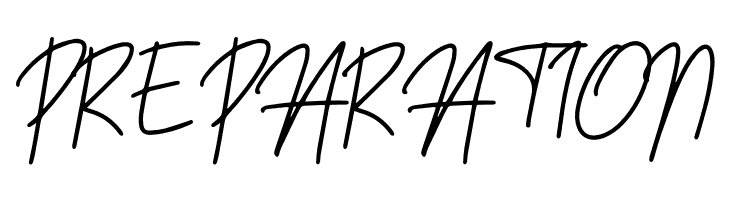 Sansitype Script  Free Fonts Download