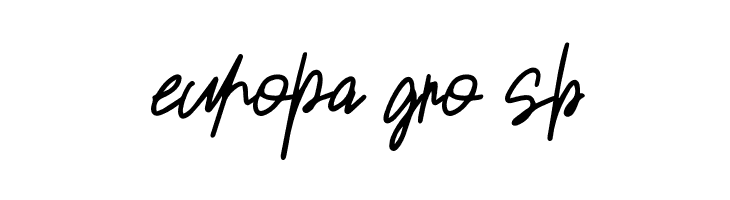 Sansitype Script  Free Fonts Download