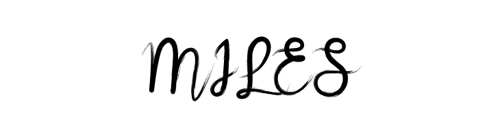 brushnyoe  Free Fonts Download