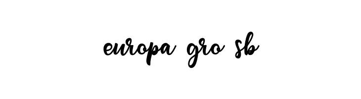 flashlight  Free Fonts Download