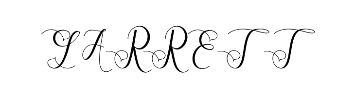 ViolettaScript  Free Fonts Download