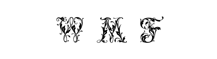 Leafy glade  Free Fonts Download