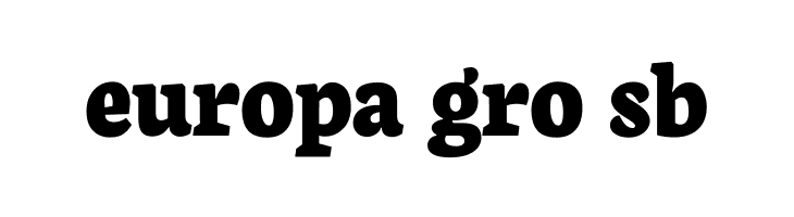 Neuton Extrabold  Free Fonts Download