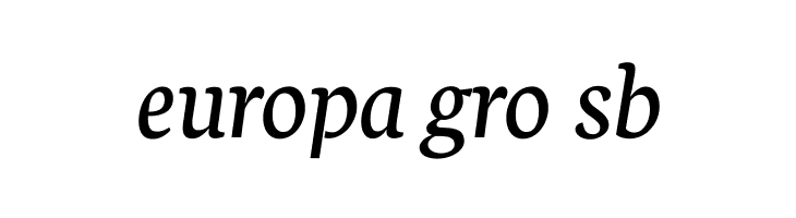 Neuton Italic  Free Fonts Download
