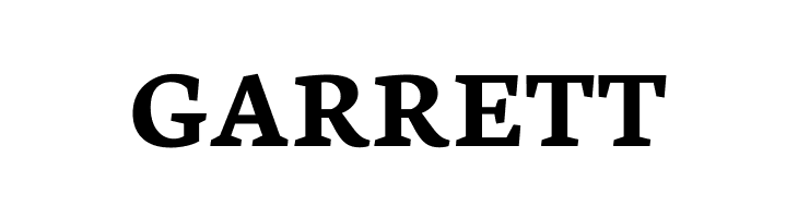 Neuton Bold  Free Fonts Download