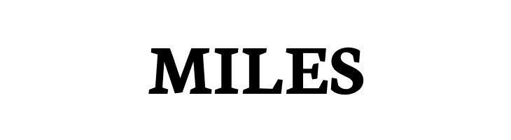 Neuton Bold  Free Fonts Download