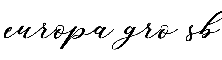 CintyaScript  Free Fonts Download