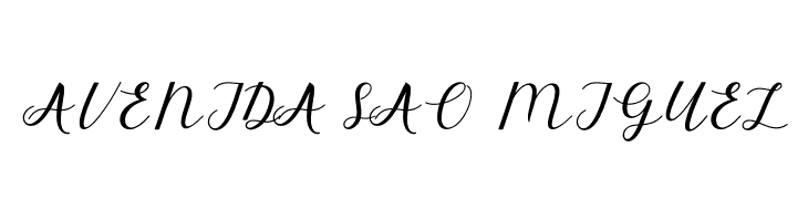 ElizabethScript  Free Fonts Download