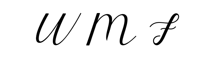 ElizabethScript  Free Fonts Download