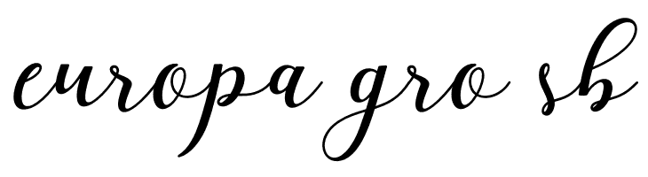 ElizabethScript  Free Fonts Download