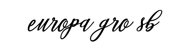 Steady  Free Fonts Download