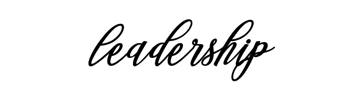 Steady  Free Fonts Download