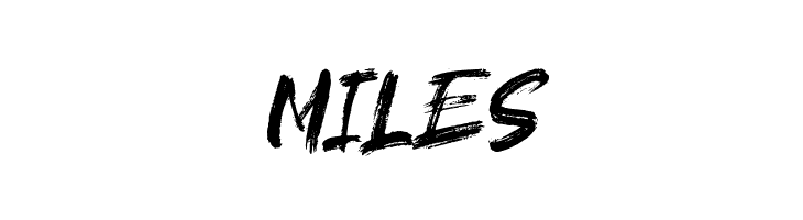 brushield Italic  Free Fonts Download