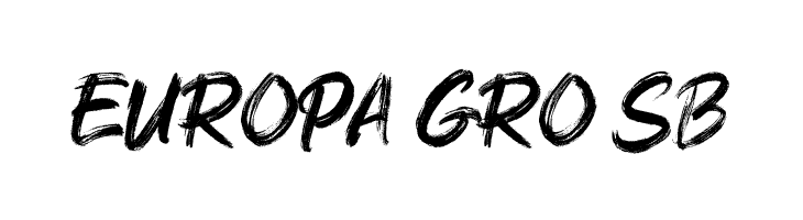 Rushink DEMO  Free Fonts Download