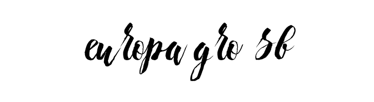 Chameleon  Free Fonts Download