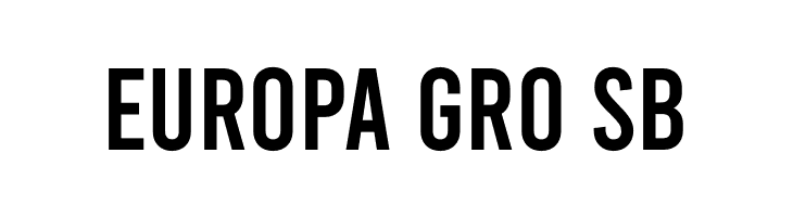 Bebas Regular  Free Fonts Download