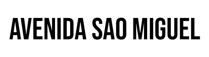 Bebas Neue Regular  Free Fonts Download