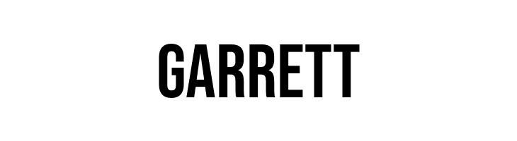 Bebas Neue Regular  Free Fonts Download