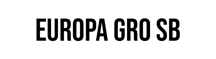 Bebas Neue Regular  Free Fonts Download