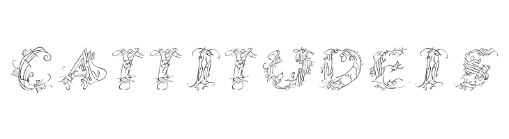 CalliPsoGrafia  Italic  Free Fonts Download