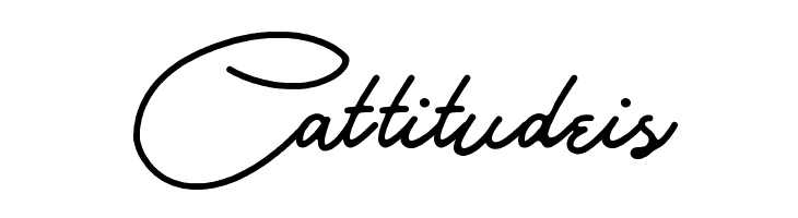 Bull Stander Free Demo  Free Fonts Download