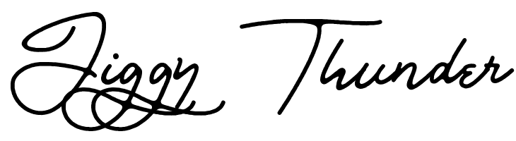 Bull Stander Free Demo  Free Fonts Download