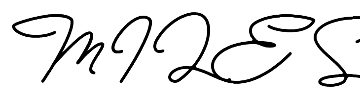 Bull Stander Free Demo  Free Fonts Download