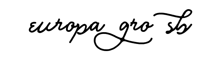 Bull Stander Free Demo  Free Fonts Download