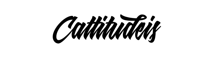 Shanders Free  Free Fonts Download