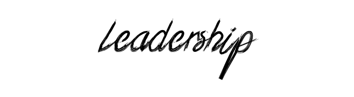 Xander Bruce Demo  Free Fonts Download