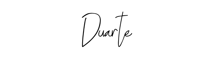 ALDITH Script  Free Fonts Download