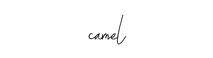 ALDITH Script  Free Fonts Download