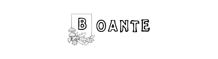 Dandelion  Free Fonts Download